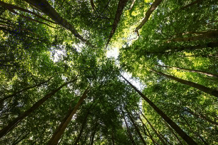 Pexip awarded the Carnegie Sustainability Award 2021
