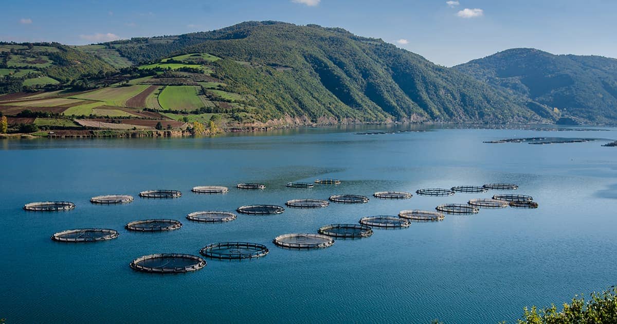 Nutreco Skretting is a leader in aquaculture feed